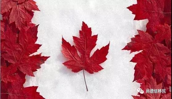 4月19日 ，“加拿大留学·就业·移民”分享会