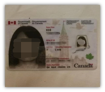 枫叶卡_看图王2.png 枫叶卡_看图王2.png