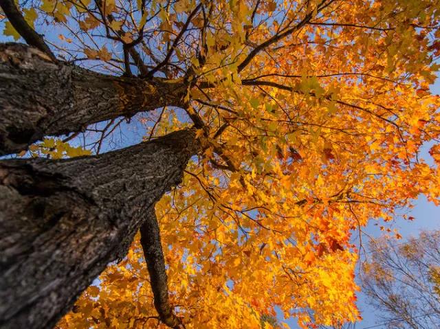 微信图片_20180512182432.jpg 微信图片_20180512182432.jpg