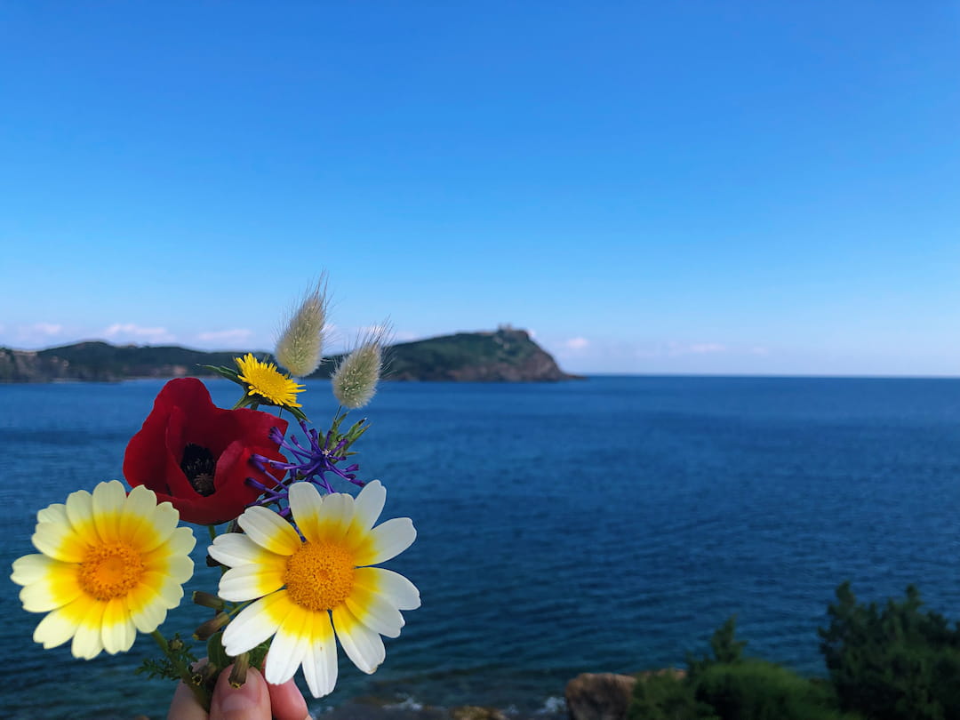 轻松写意，生活无忧，移民到这里就对了！